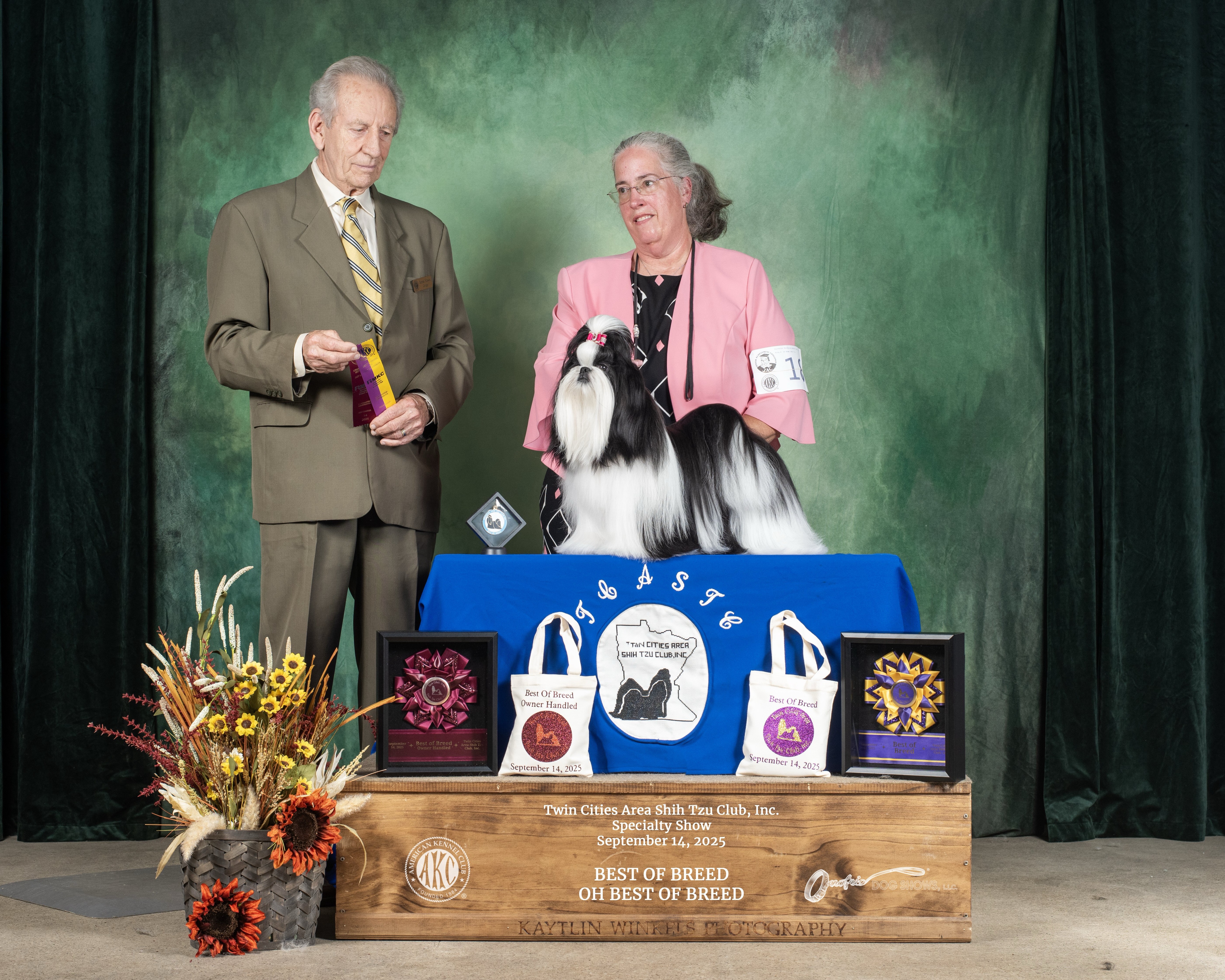 Show News & AKC Champions – Magpie Shih Tzu